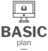Basic Plan